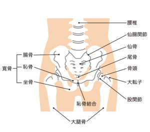 痛み 股関節