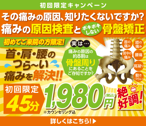 初回限定キャンペーンバナー